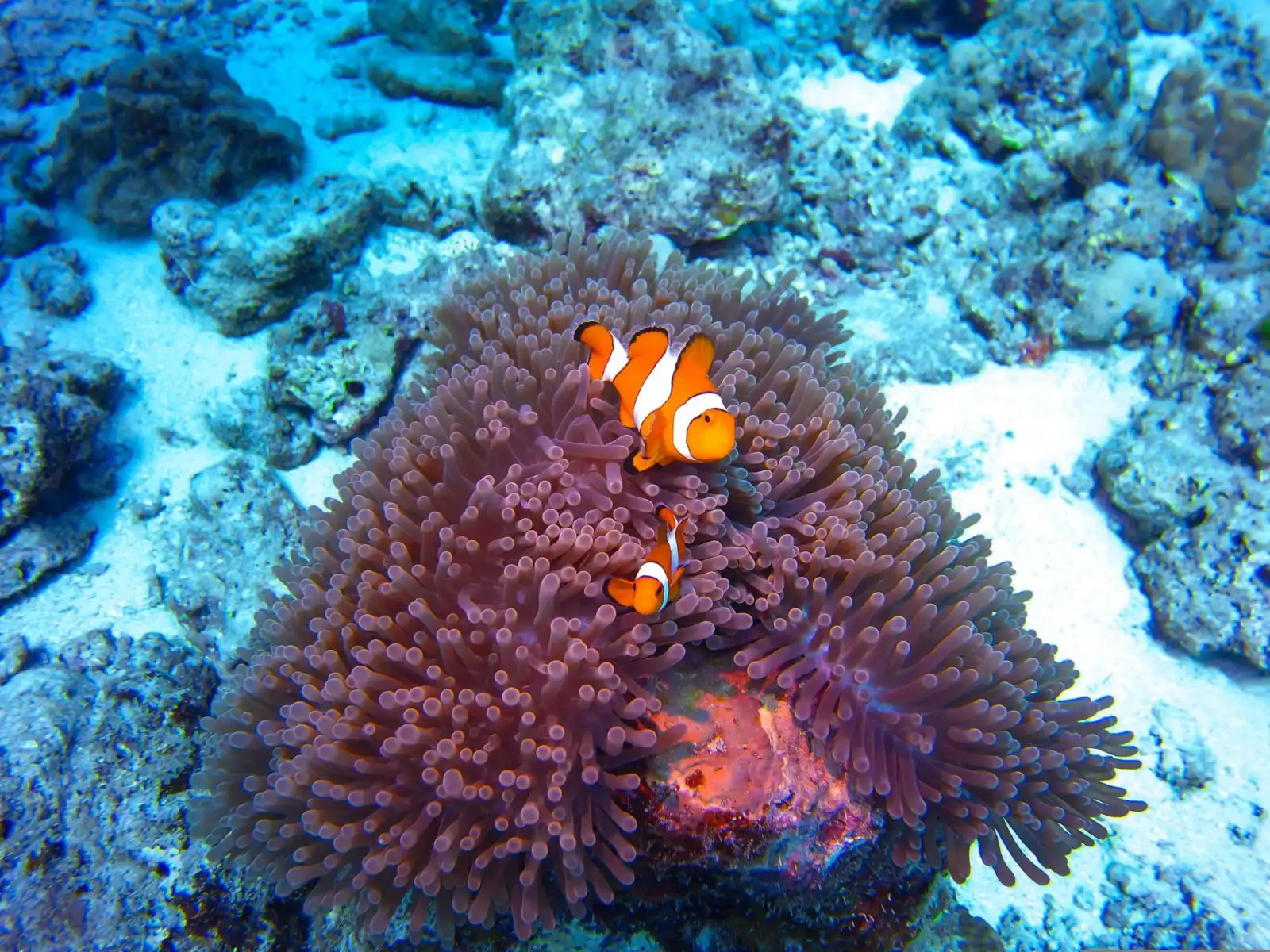 Landmarks in Thailand - Similan Islands