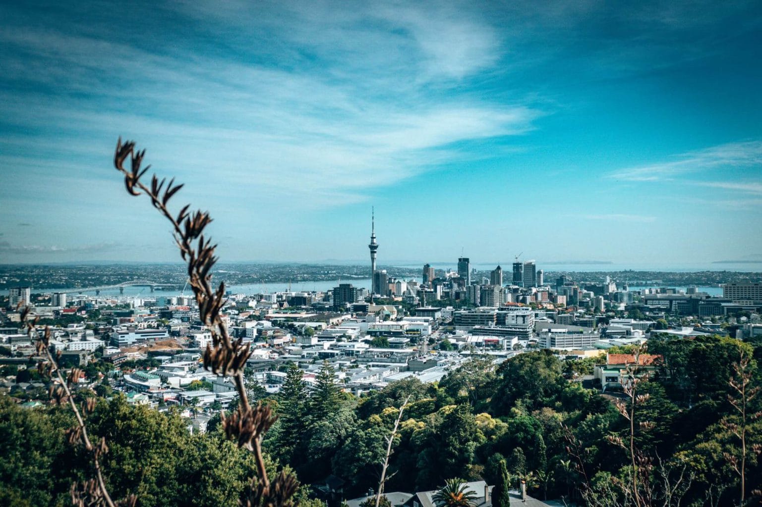 View from Mount Eden Auckland