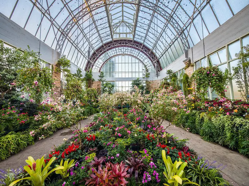 Winter garden at the Auckland Domain