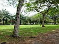 Austin Perdana Park