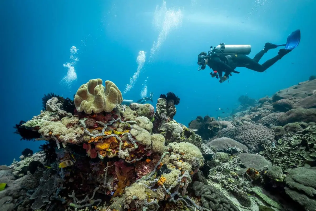 Bali Hidden Gems Bali Nusa Penida diving