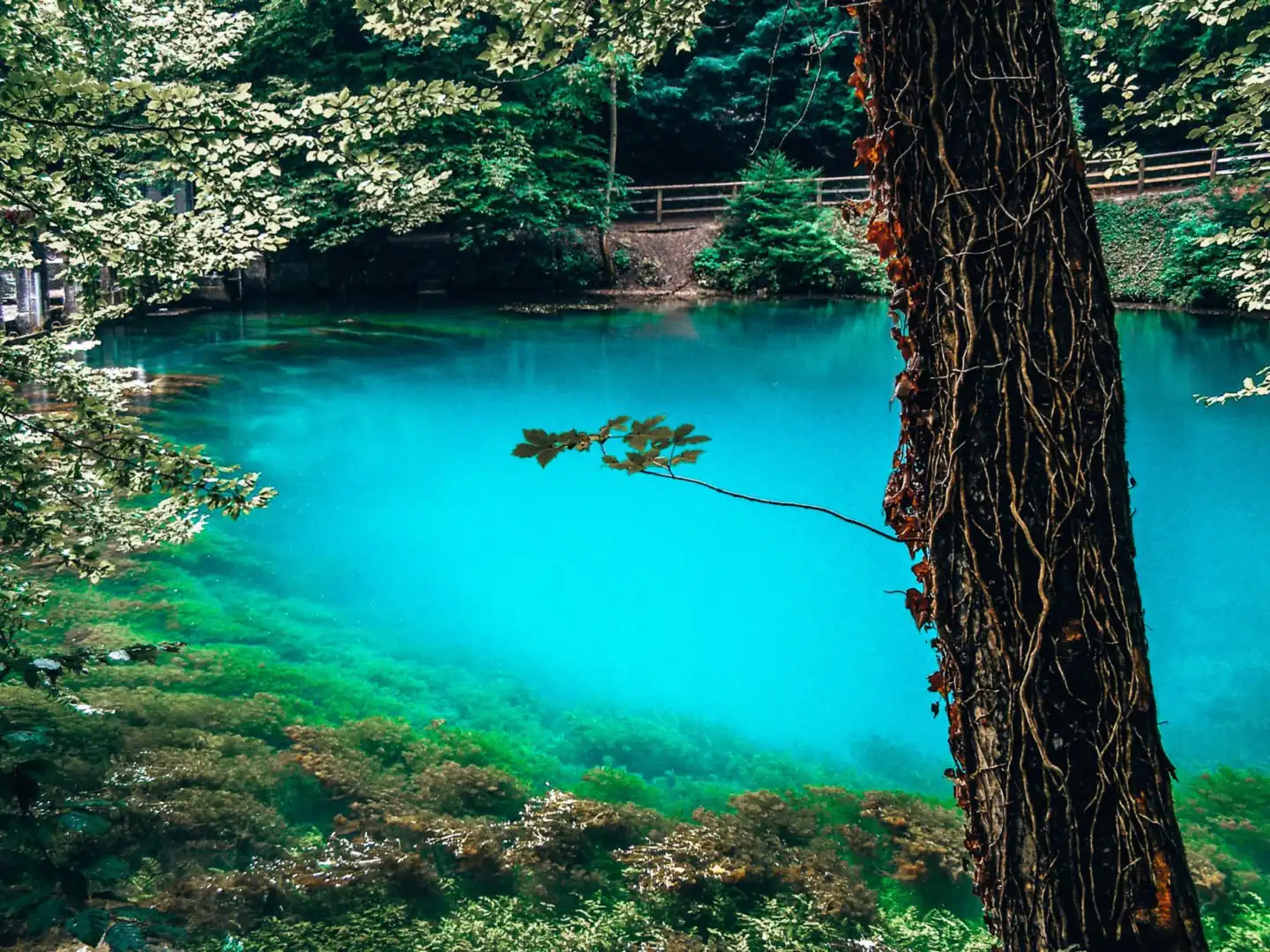 Blautopf, Germany