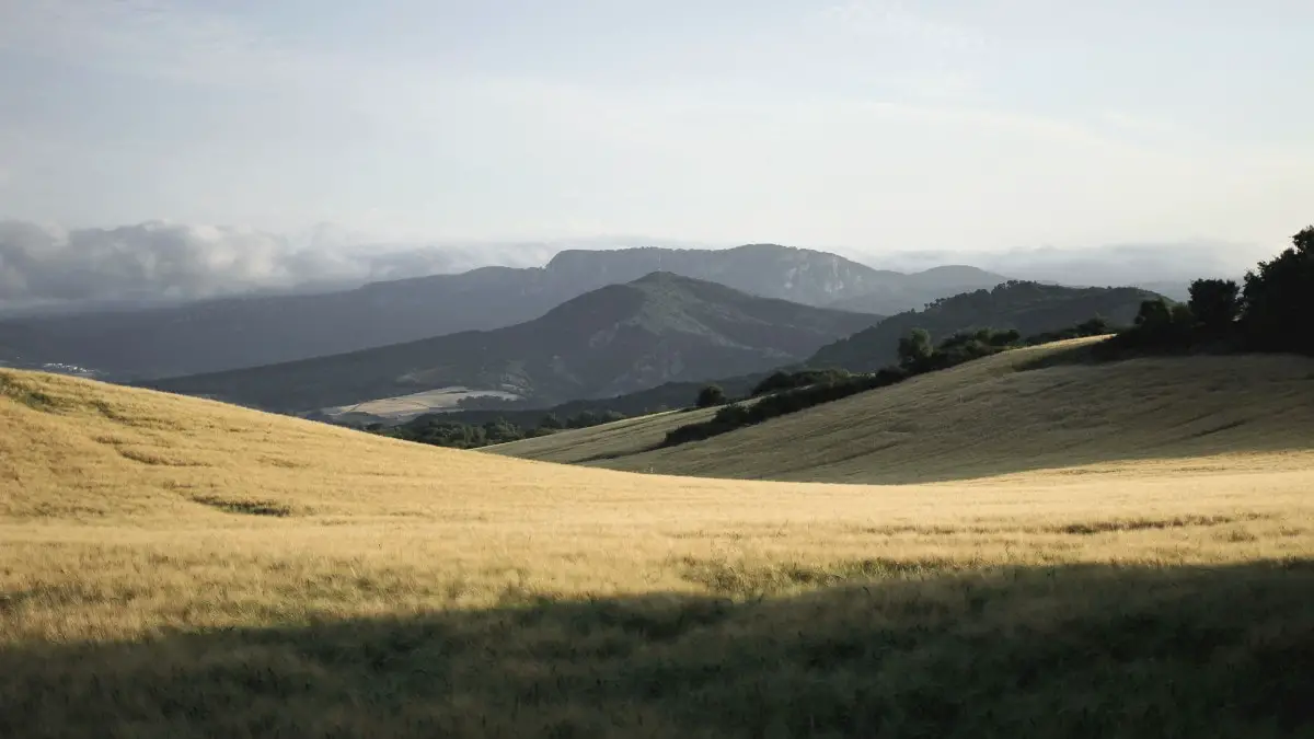 Books about wanderlust - Camino de Santiago Spain