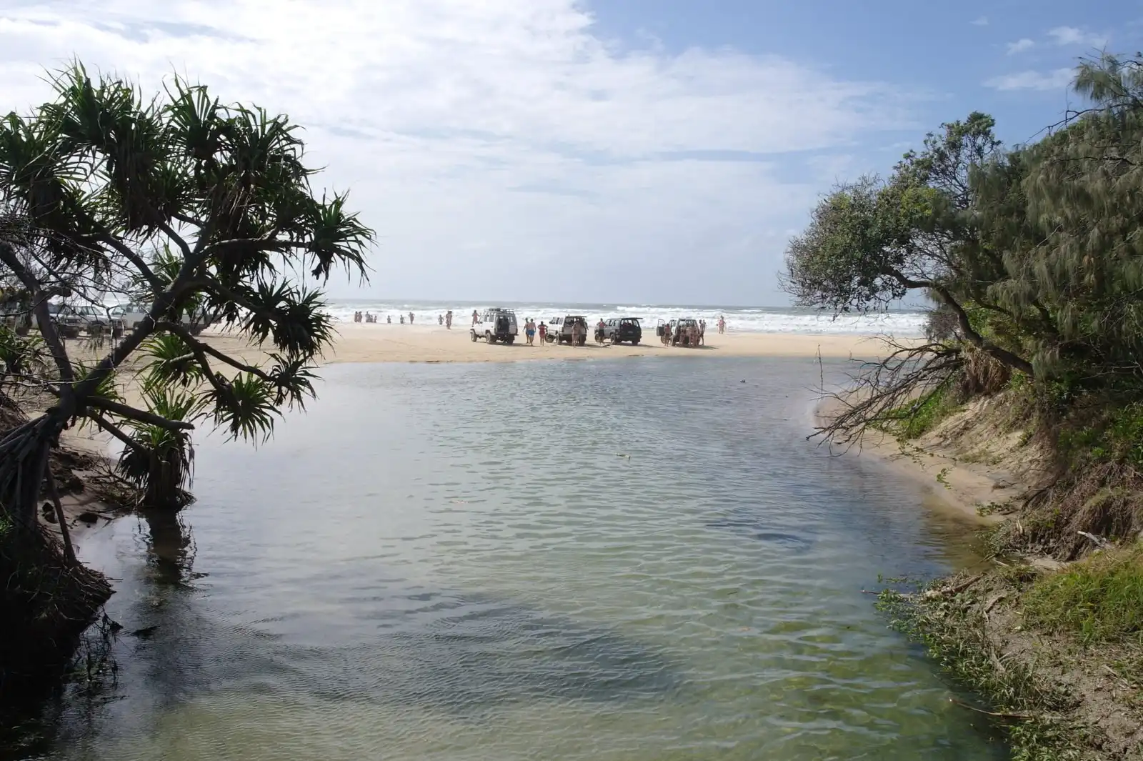 Cairns to Brisbane - Eli Creek Fraser Island