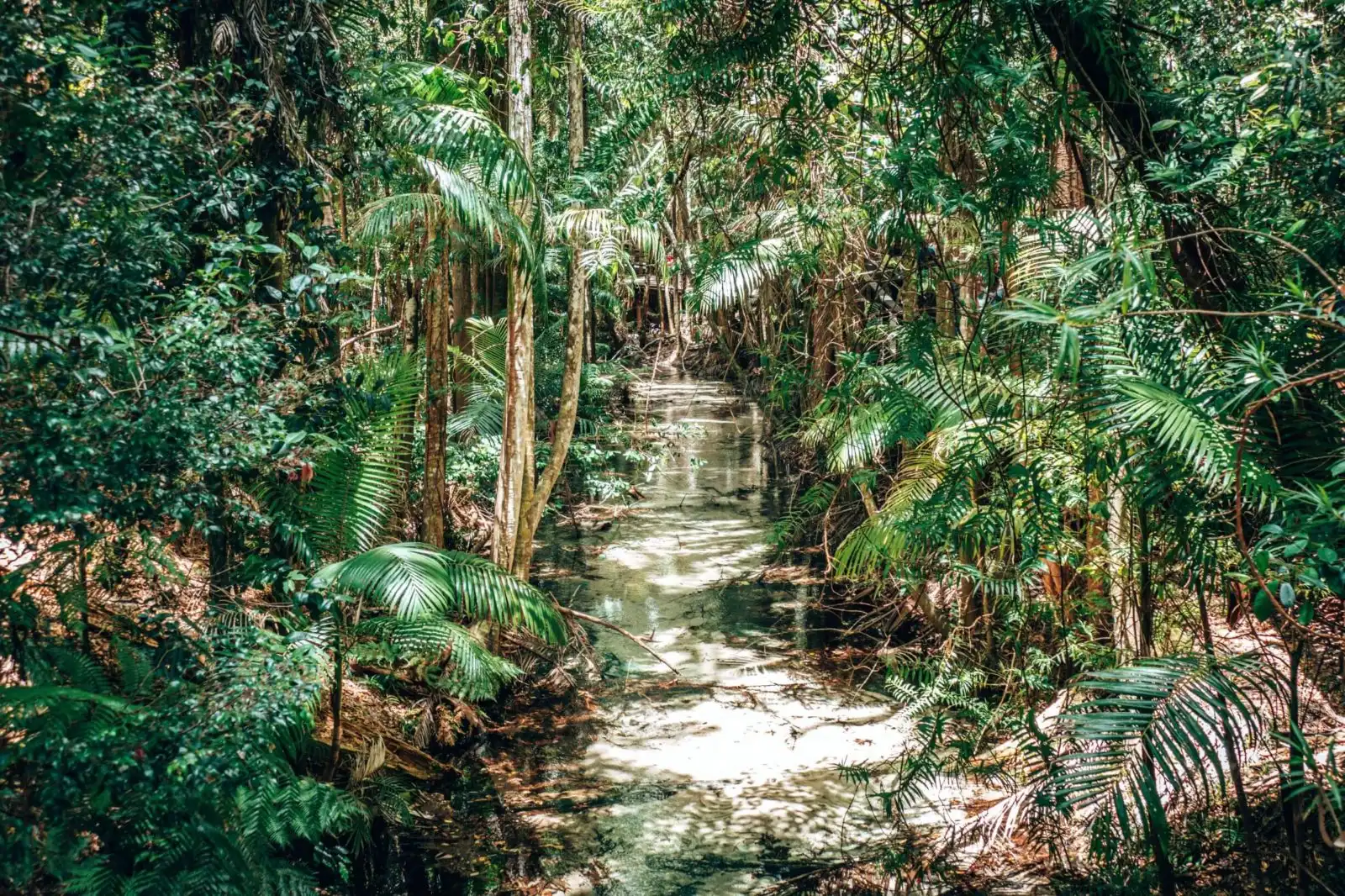 Central Station on Fraser Island