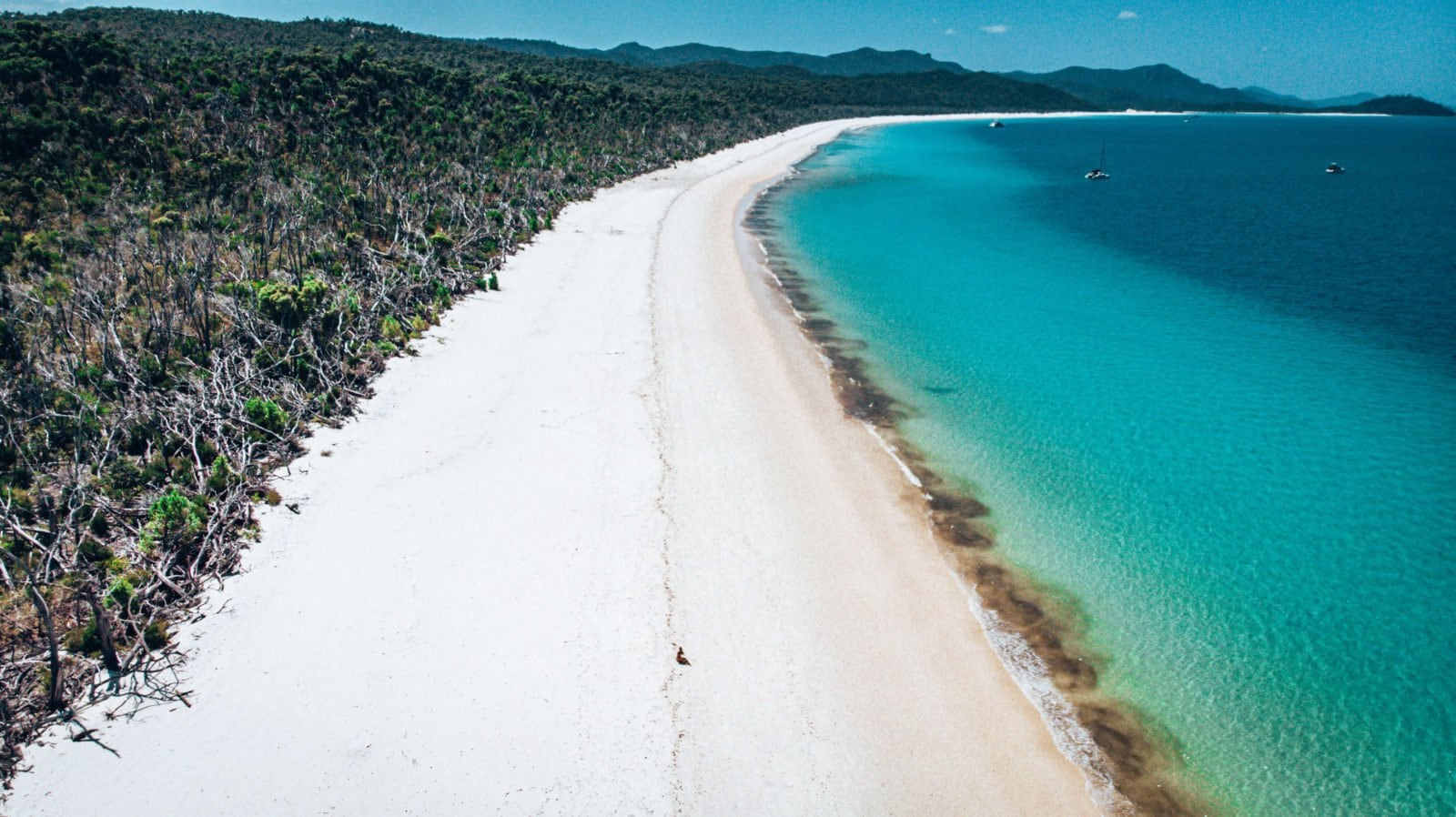 Whitehaven beach in the Whitsundays