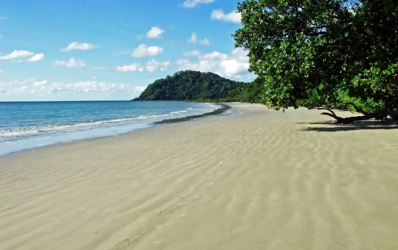 Beach of Cape Tribulation