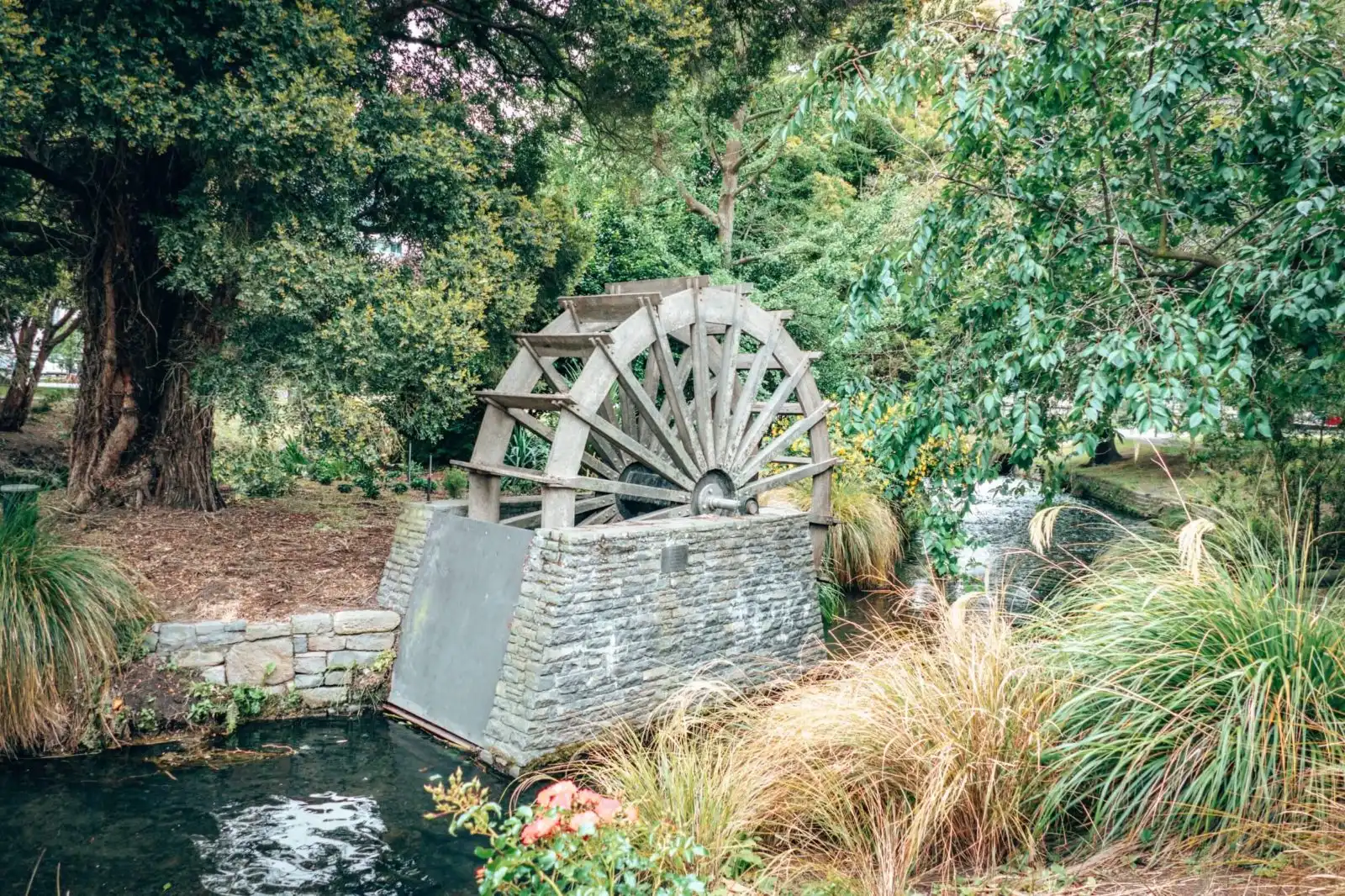 Avon River in Christchurch