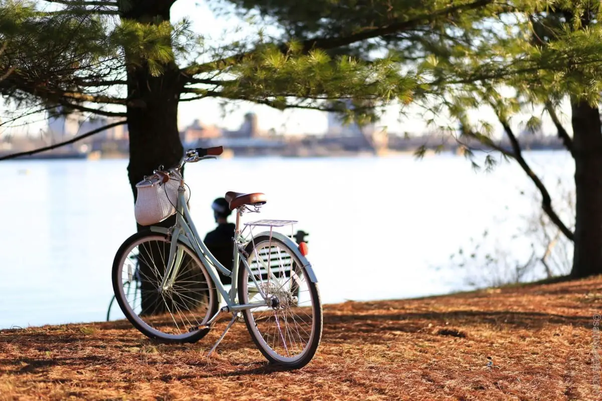 Cycling along Rhein Cologne