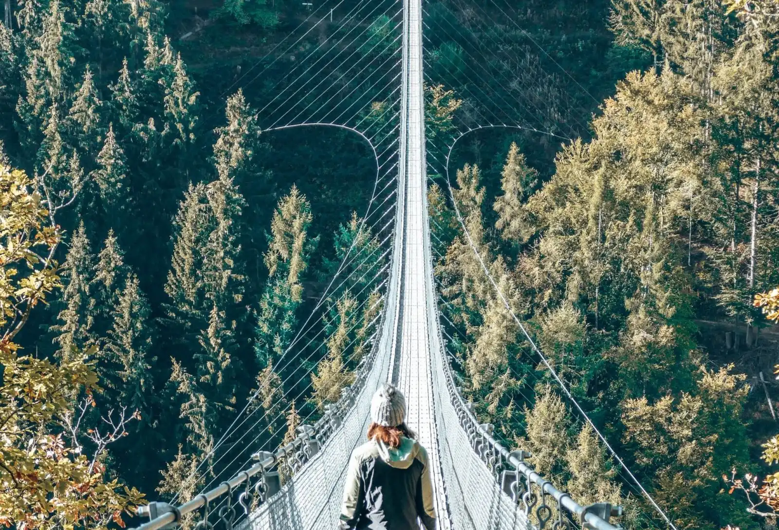 Hiking Quotes across Geierlay Bridge, Germany