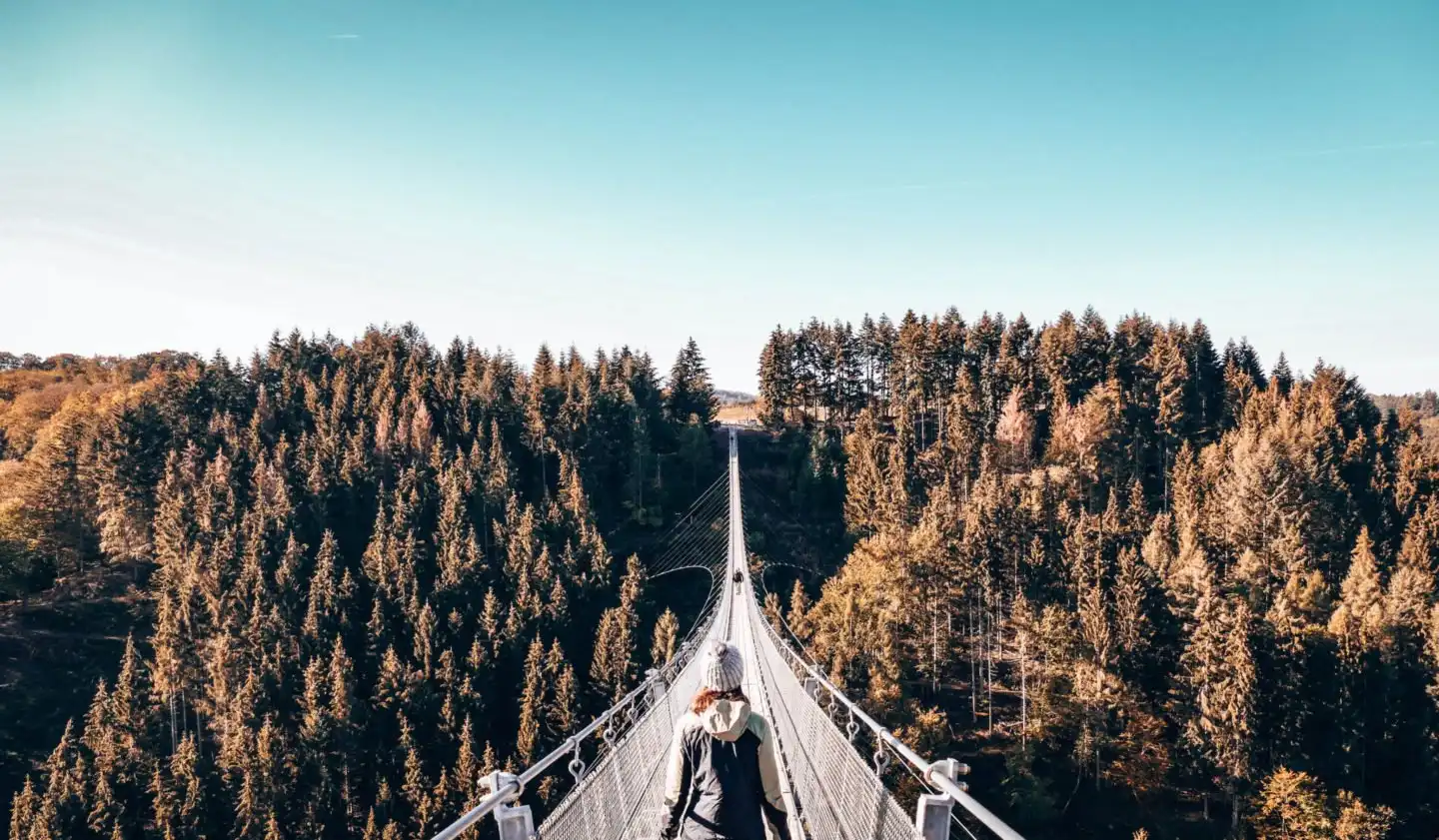 Geierlay Bridge in Germany