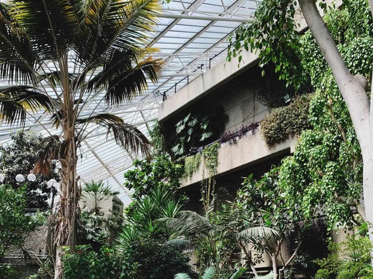 Hidden Gems in London - Barbican Conservatory