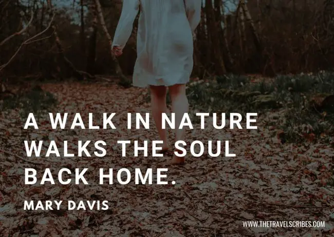 Nature hiking quote