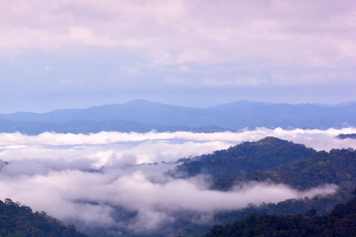 Kaeng Krachan National Park a real Thai hidden gem