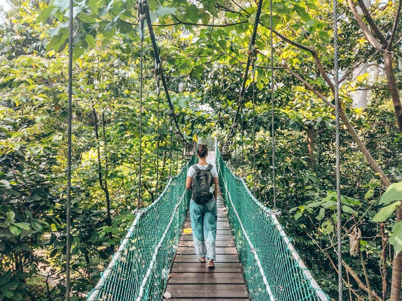 KL Eco Forest