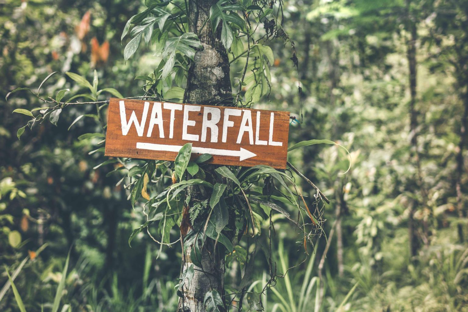 Melanting waterfall sign