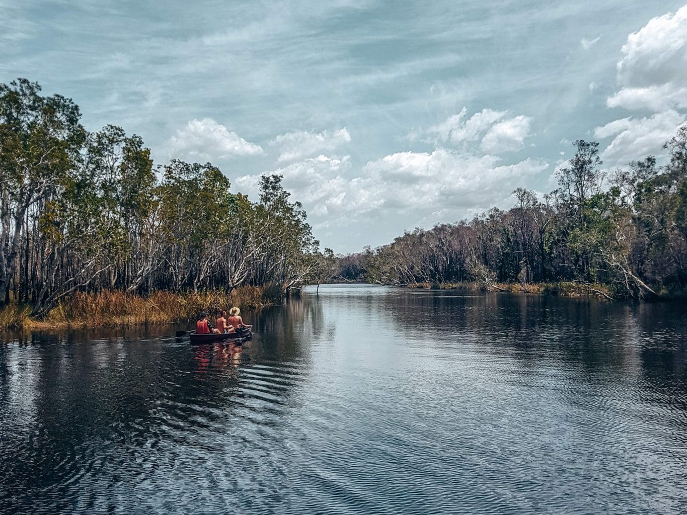 Kayaking in the Noosa Everglades