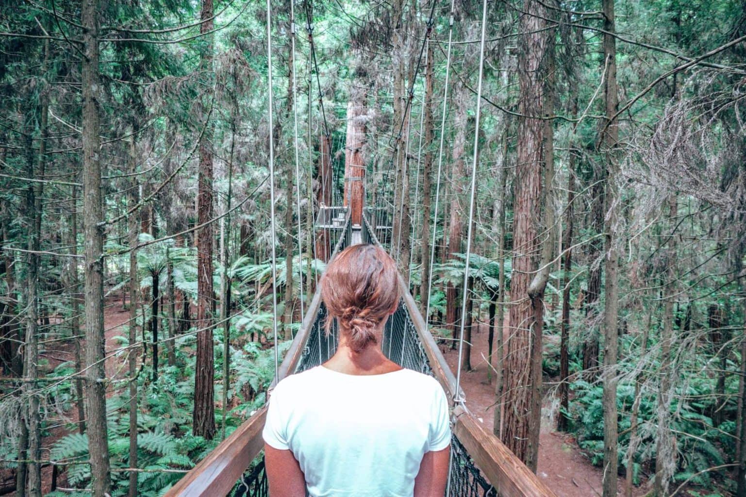 Redwoods treetop walk, Rotorua