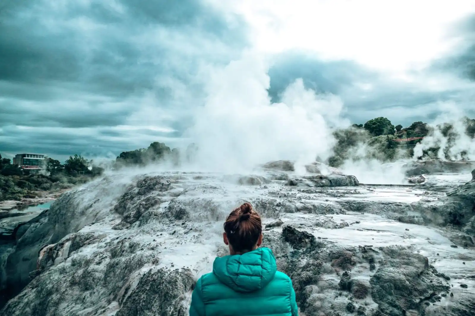 Te Puia Rotorua Itinerary