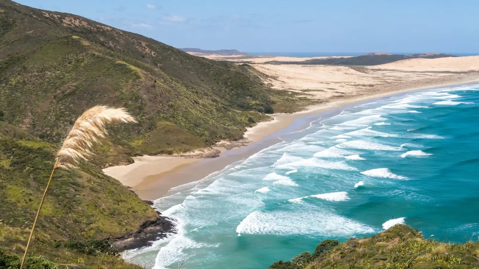 A day trip to Cape Reinga