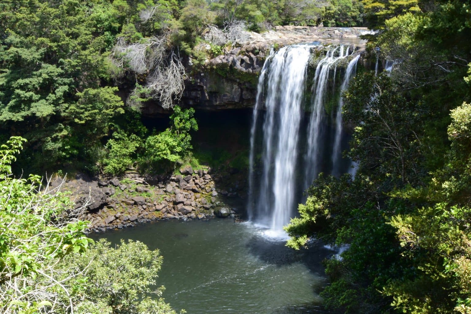 Rainbow Falls near Kerikeri