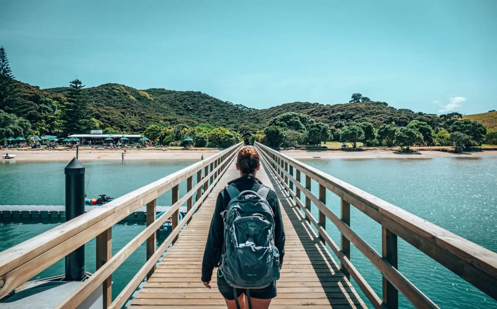 Urupukapuka Island near Paihia, New Zealand