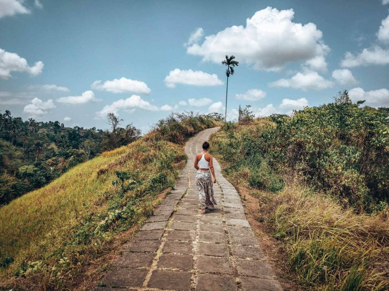 Ubud Waterfall tour - Campuhan Ridge Walk