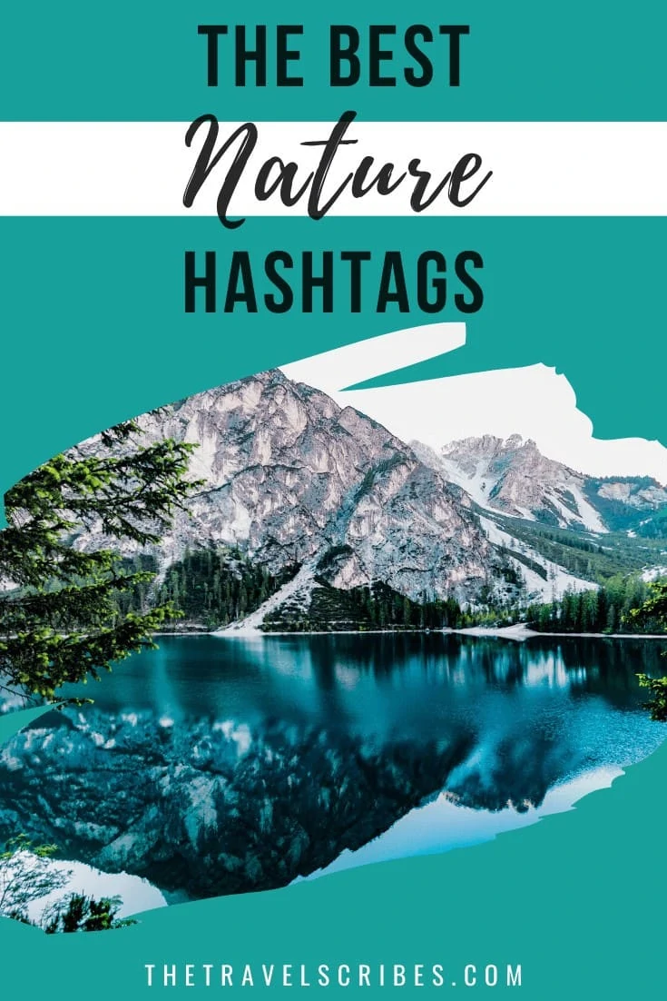 Want to find the best nature hashtags? We've put together this bumper guide crammed full of tips, tricks and, of course, hashtag lists!