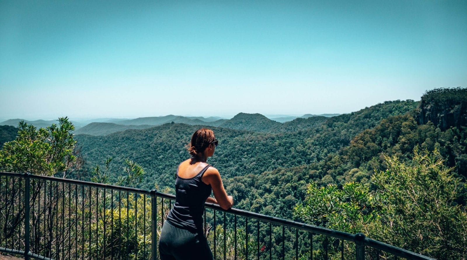 Canyon Lookout Springbrook