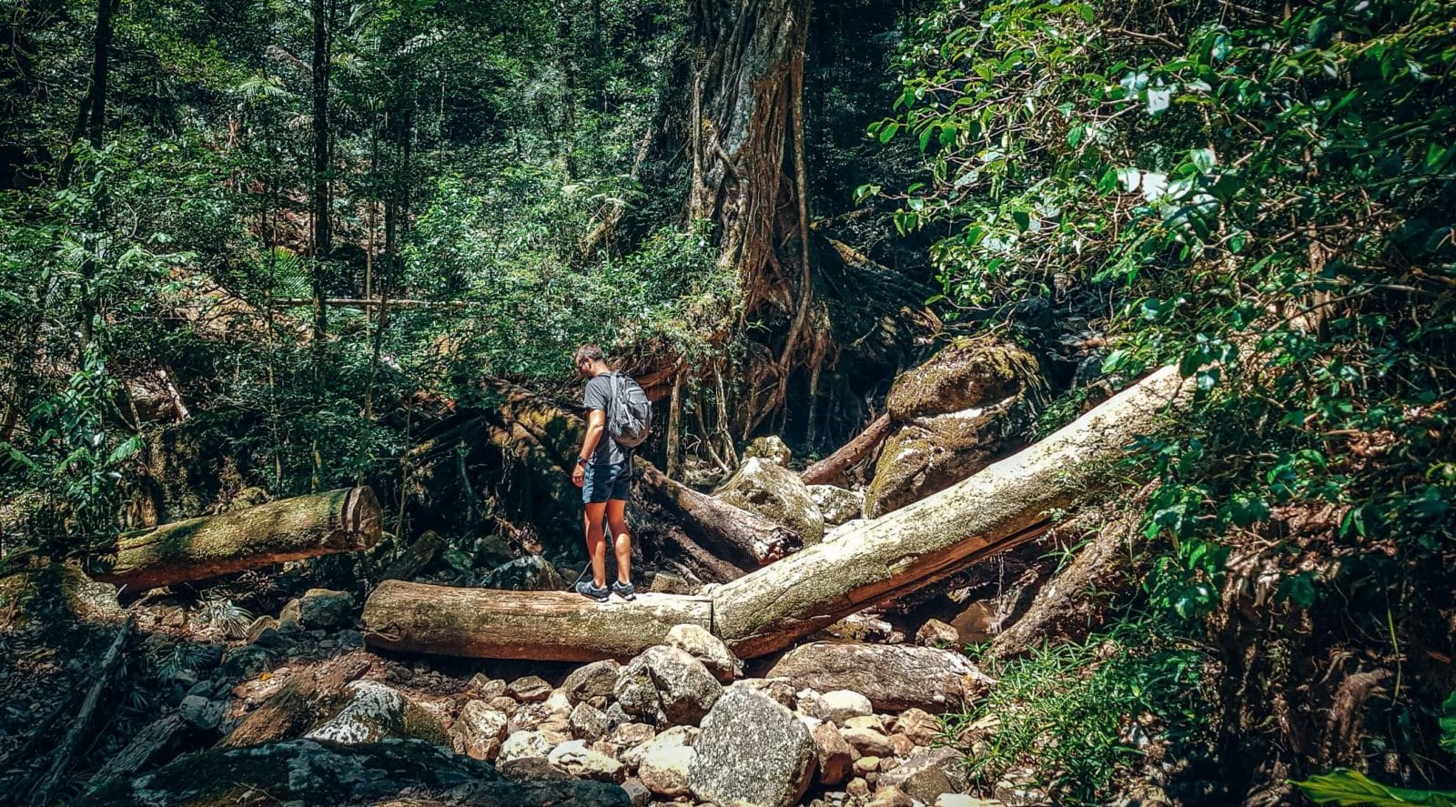 Warrie Circuit - James climbing over tree